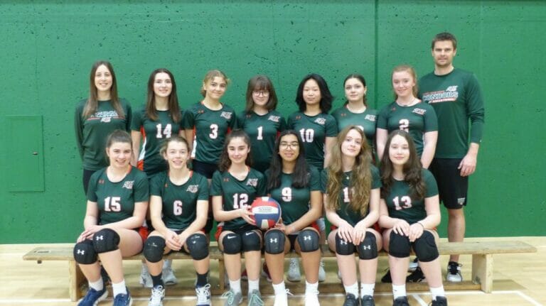 Volleyball Benjamin vert